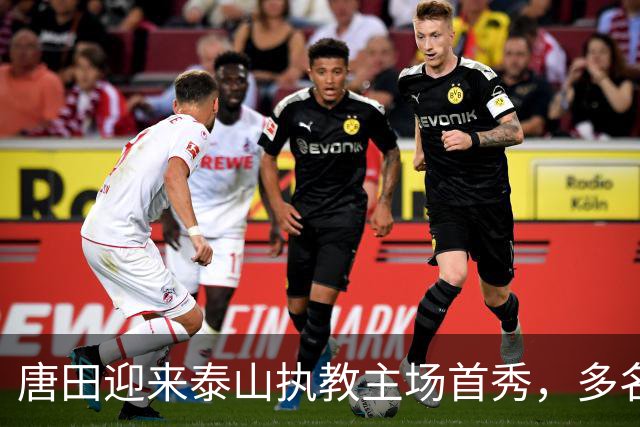 唐田迎来泰山执教主场首秀，多名伤员伤愈归队，王大雷于金永门将二选一，后卫线老将与青年军博弈，成绩与青训如何兼顾